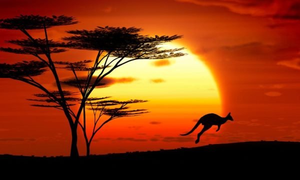australia-img (3)