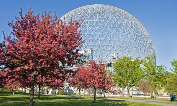 canada-img (2)