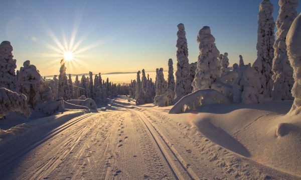 finland-img (6)