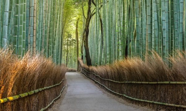 japan-img (8)