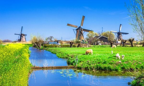 netherlands-img (3)