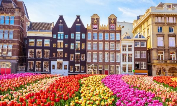 netherlands-img