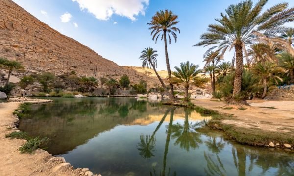 oman-img (5)