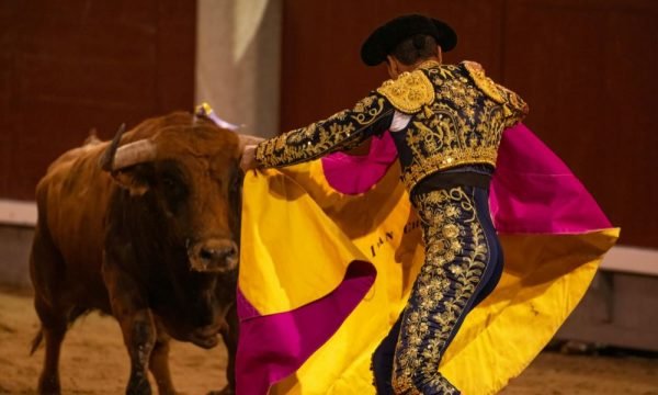 spain-img (8)