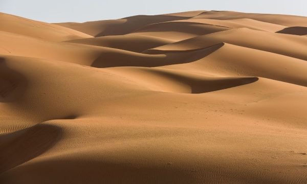 uae-img (5)